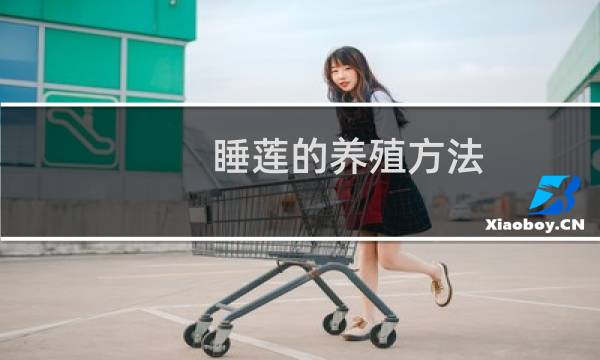 睡莲的养殖方法(睡莲健康的养殖方法)
