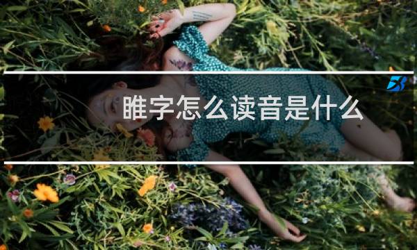 睢字怎么读音是什么（睢字怎么读）图片