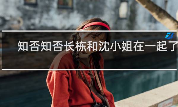 知否知否长栋和沈小姐在一起了吗