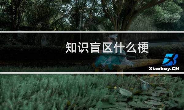 知识盲区什么梗？什么梗