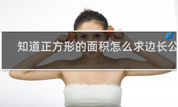 知道正方形的面积怎么求边长公式