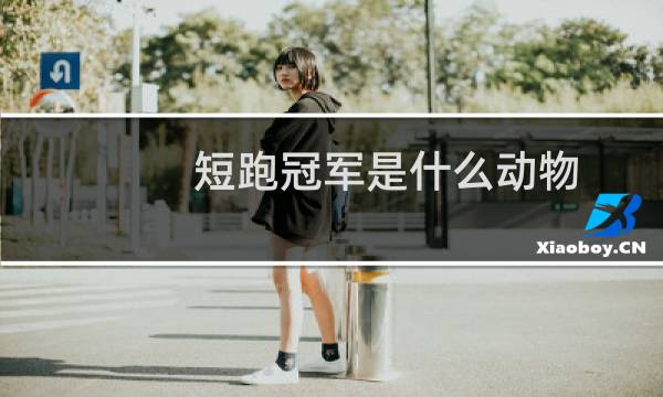 短跑冠军是什么动物