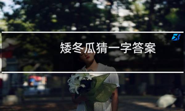 矮冬瓜猜一字答案（矮冬瓜猜一字，是什么）