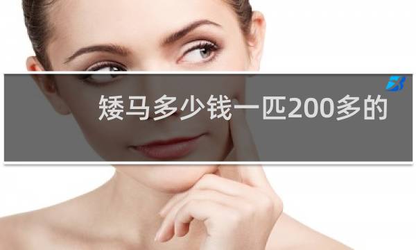 矮马多少钱一匹200多的