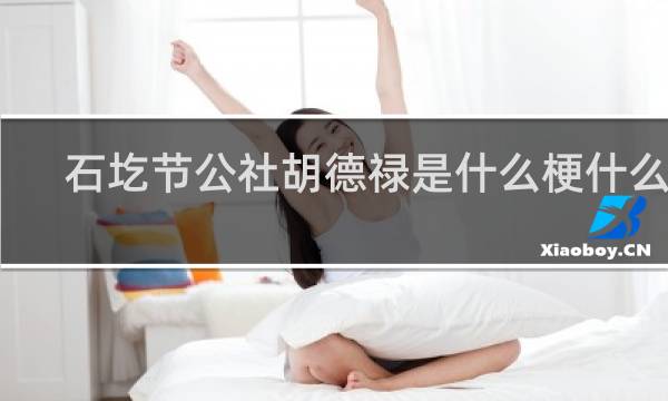 石圪节公社胡德禄是什么梗什么梗