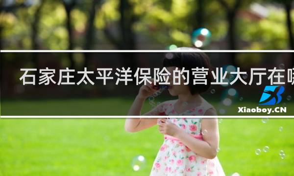 石家庄太平洋保险的营业大厅在哪里