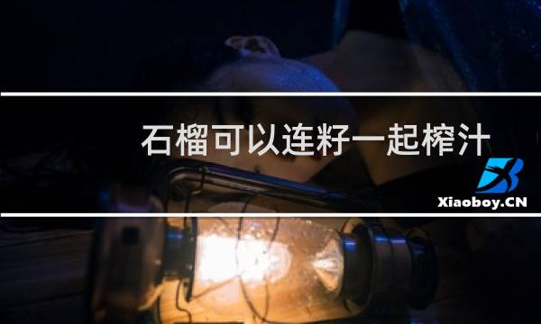 石榴可以连籽一起榨汁吗（破壁机可以打石榴籽吗）图片