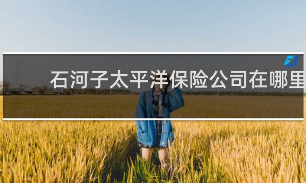 石河子太平洋保险公司在哪里