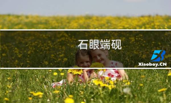 石眼端砚