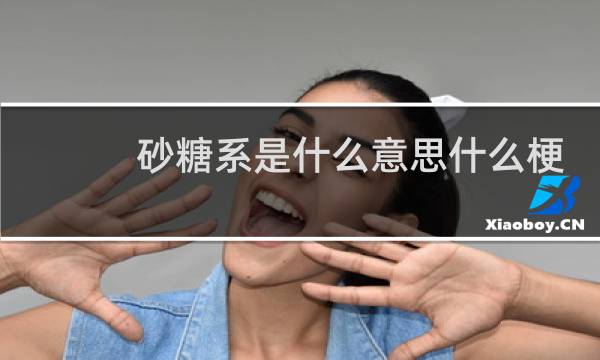 砂糖系是什么意思什么梗