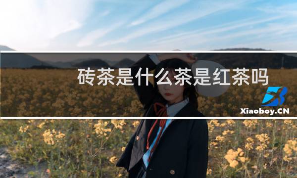 砖茶是什么茶是红茶吗(砖茶是什么茶)