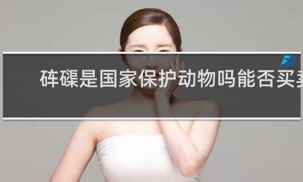 砗磲是国家保护动物吗能否买卖