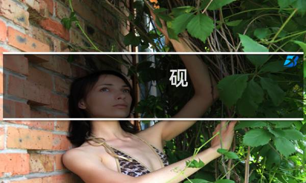 砚 墨
