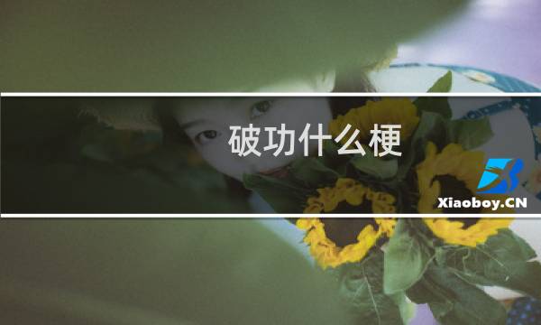 破功什么梗