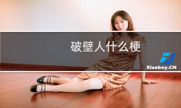 破壁人什么梗
