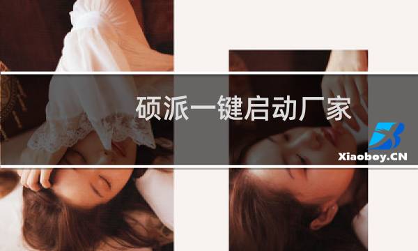 硕派一键启动厂家（硕派）图片