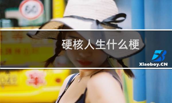 硬核人生什么梗