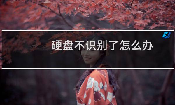 硬盘不识别了怎么办（电脑识别不出来硬盘解决办法）