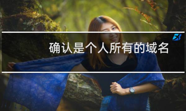 确认是个人所有的域名，想联系客服手工处理