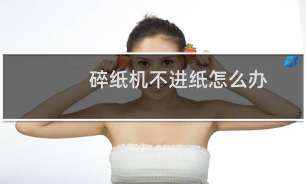 碎纸机不进纸怎么办