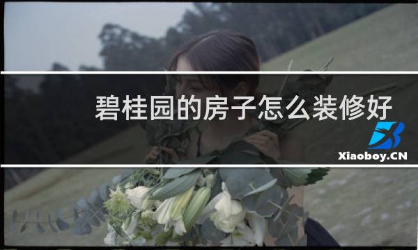 碧桂园的房子怎么装修好看图片