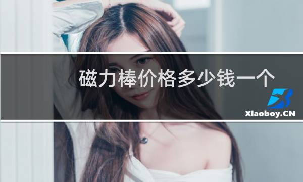 磁力棒价格多少钱一个