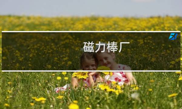 磁力棒厂