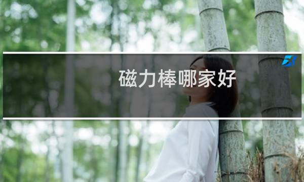磁力棒哪家好