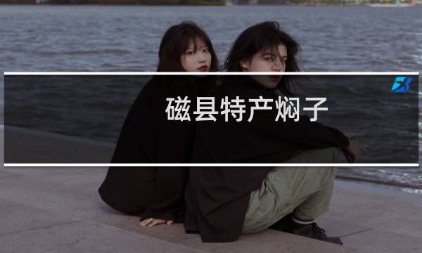 磁县特产焖子