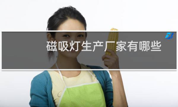 磁吸灯生产厂家有哪些