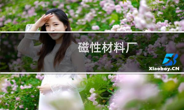 磁性材料厂