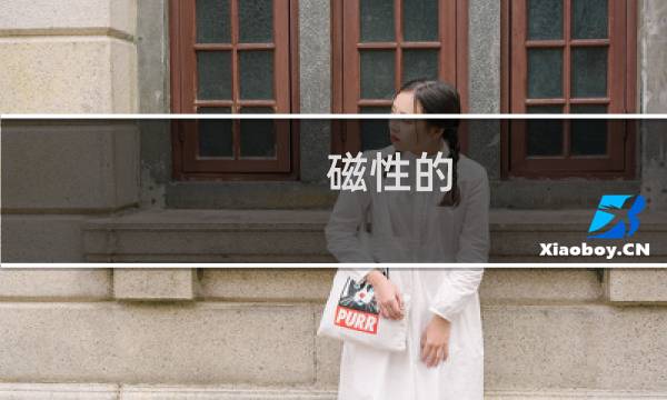 磁性的