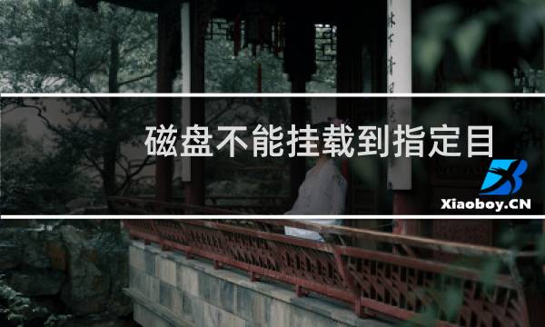 磁盘不能挂载到指定目录-云服务器问题