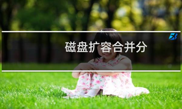 磁盘扩容合并分 挂载-云服务器问题