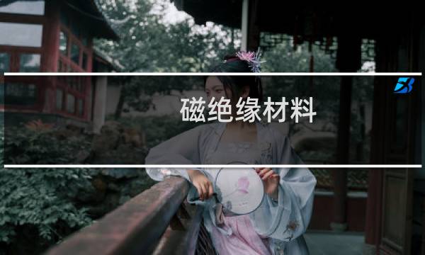 磁绝缘材料
