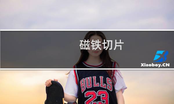 磁铁切片