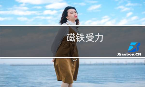 磁铁受力