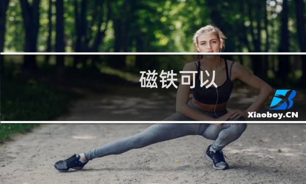 磁铁可以