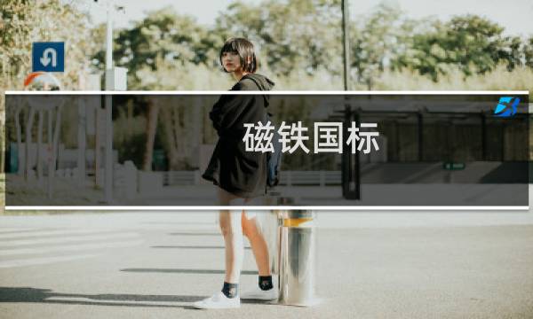 磁铁国标