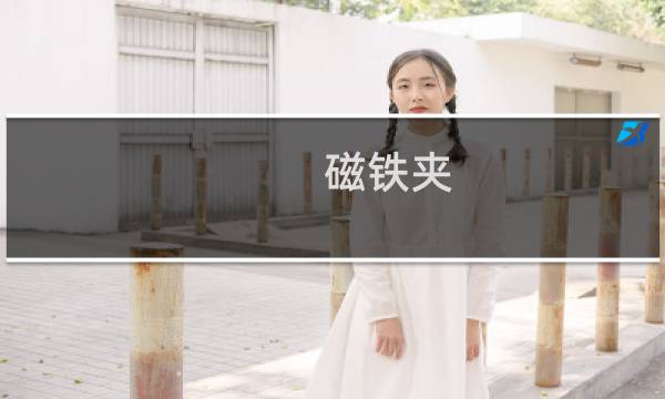 磁铁夹