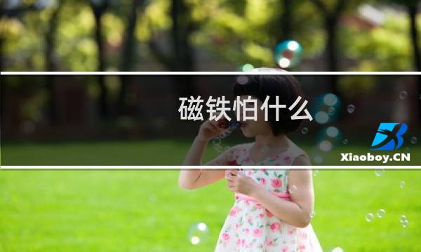 磁铁怕什么