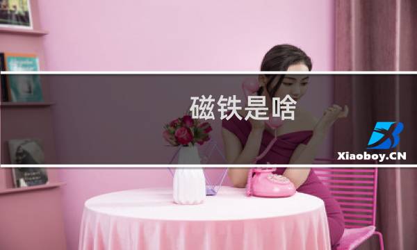 磁铁是啥