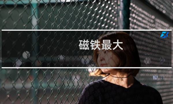 磁铁最大