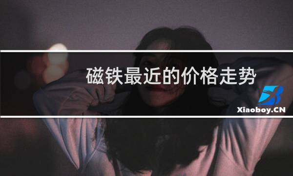 磁铁最近的价格走势