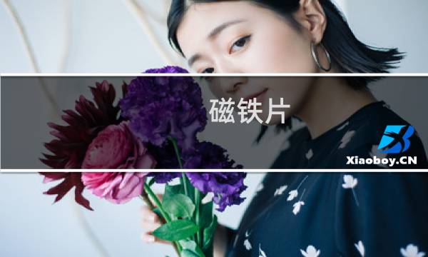 磁铁片