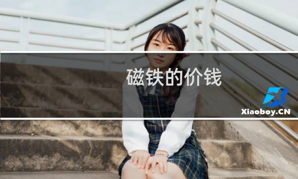 磁铁的价钱