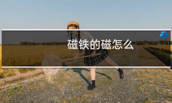 磁铁的磁怎么