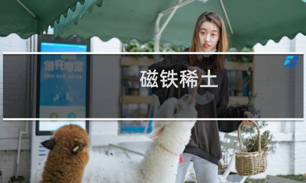 磁铁稀土