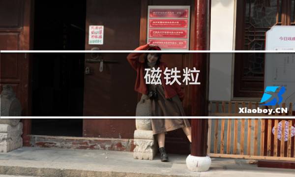 磁铁粒