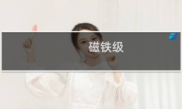 磁铁级
